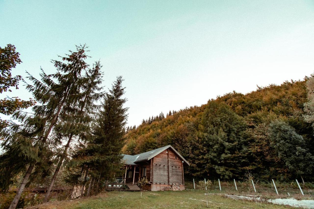 Cabana La Pantiru Valeni-Stinisoara ภายนอก รูปภาพ