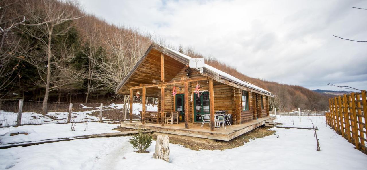 Cabana La Pantiru Valeni-Stinisoara ภายนอก รูปภาพ